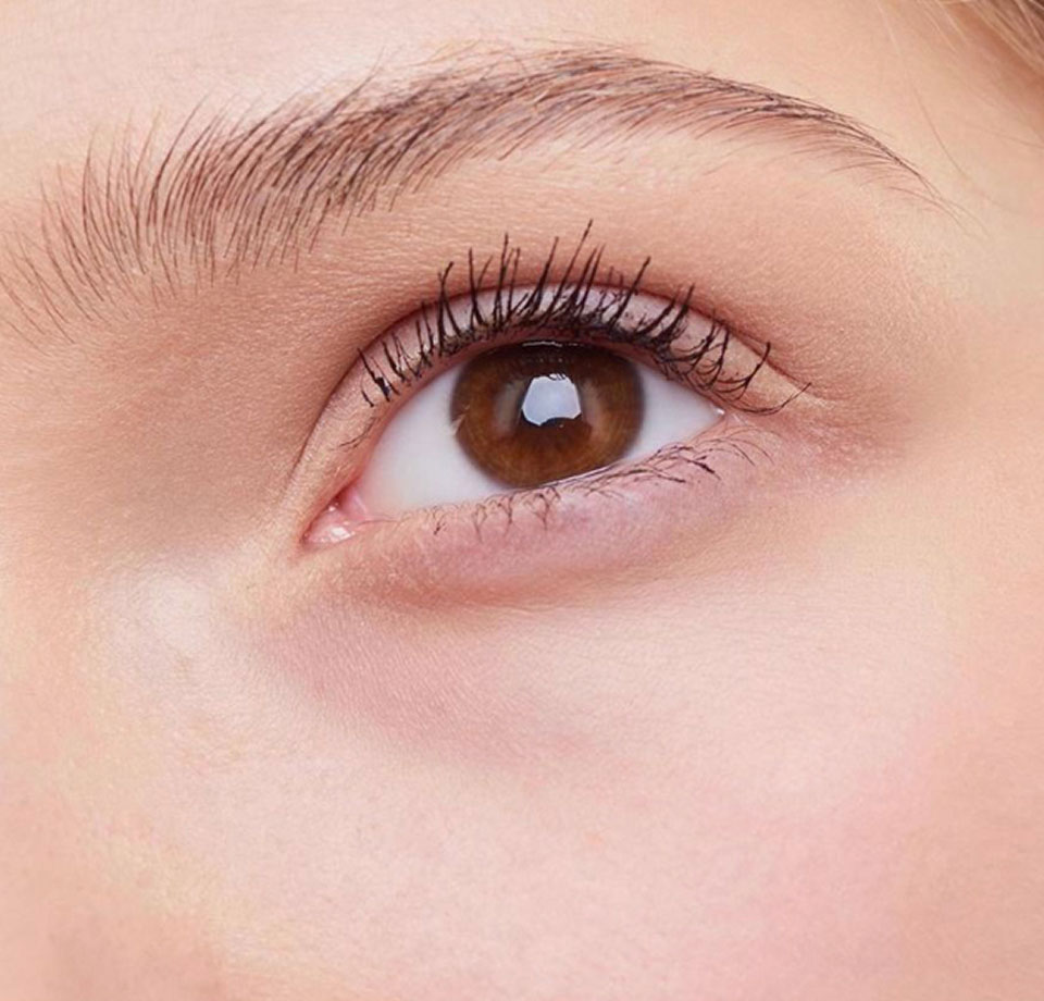 Brown eye & beautiful iris details including variation of colors